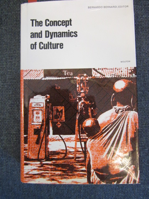 Image for The Concept and Dynamics of Culture.