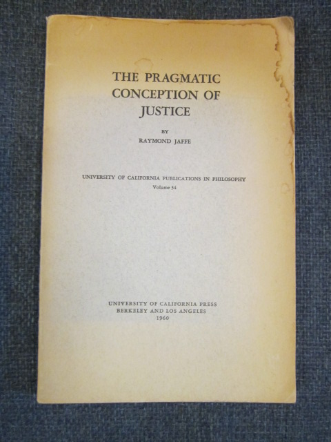 Image for The Pragmatic Conception of Justice
