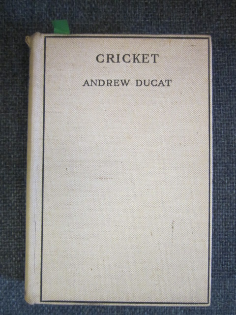 Cricket Image for Cricket