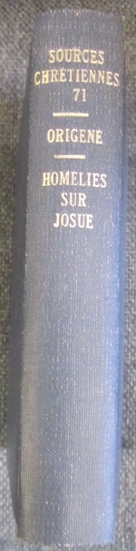 Image for Homelies sur Josue