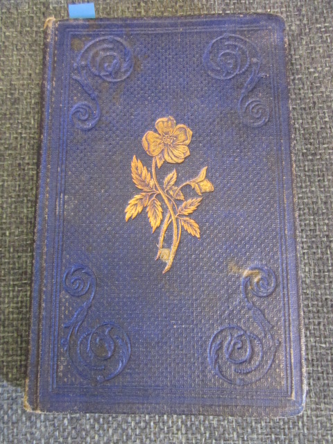 Image for The Wild Brier: or, Lays by an Untaught Minstrel
