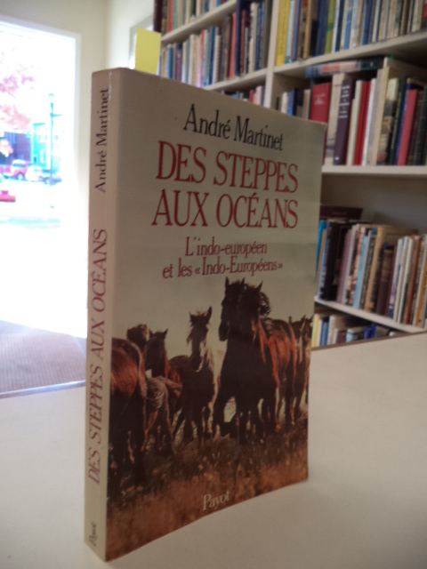 Image for Des Steppes Aux Océans: L'indo-Européen et les Indo-Européens
