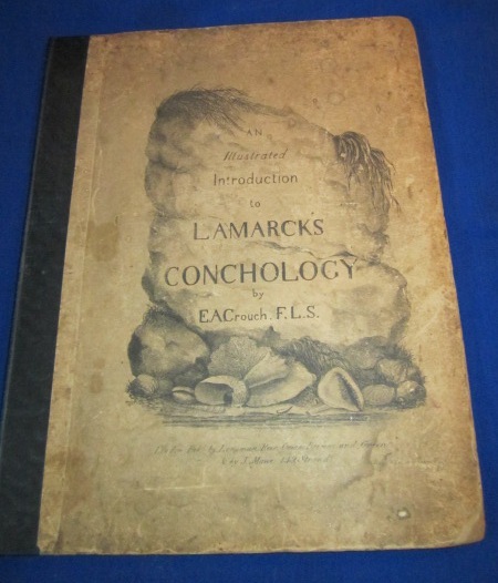 Image for An Illustrated Introduction to Lamarck's Conchology; contained in his Histoire Naturelle Des Animaux Sans Vertebres: being a literal translation of the Descriptions of the Recent and Fossil Genera
