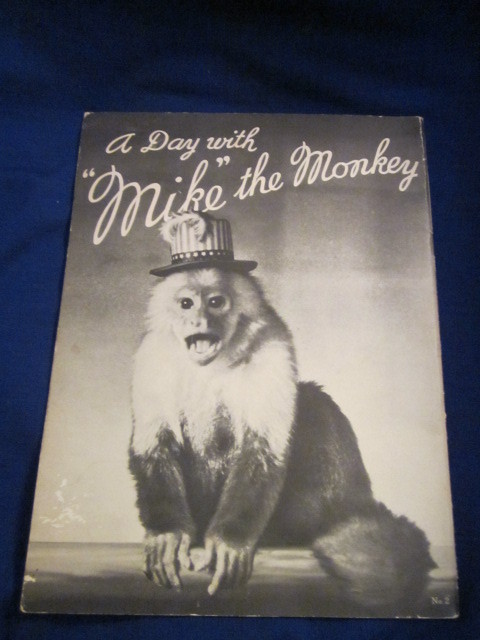 Image for A Day With Mike The Monkey
