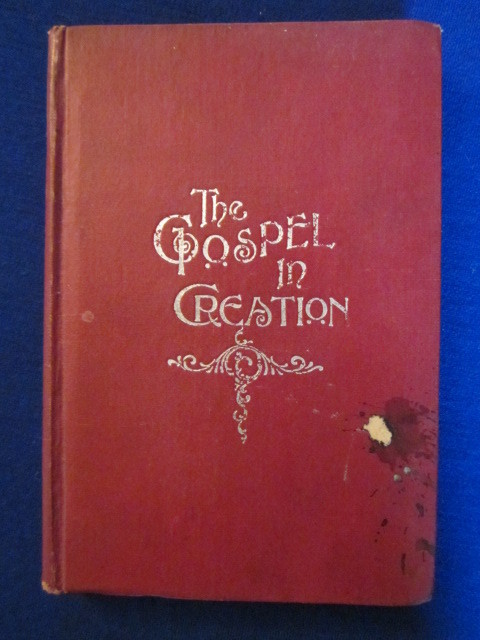 Image for The Gospel In Creation