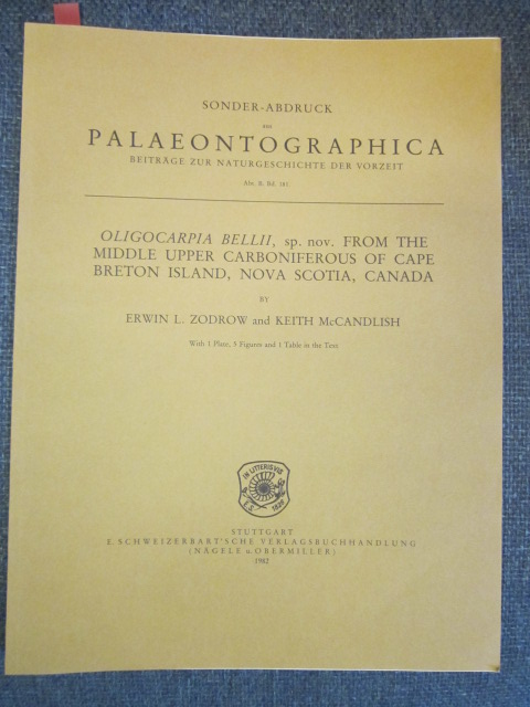 Image for Oligocarpia Bellii, sp. nov. From the Middle Upper Carboniferous of Cape Breton Island, Nova Scotia, Canada