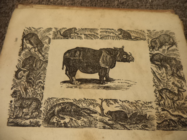 Image for Robert Ramble's Visit to the Grand Menagerie, with Full Descriptions and Anecdotes of the Animals