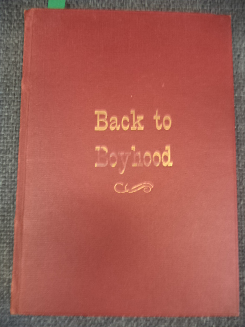 Image for Back to Boyhood