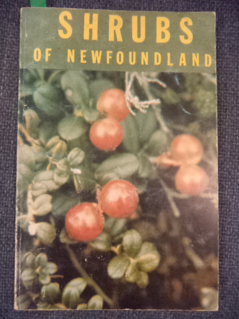 Image for Shrubs of Newfoundland