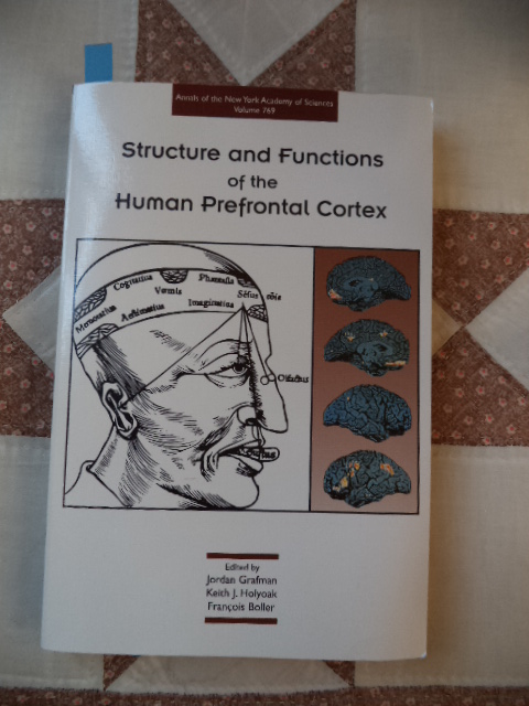 Image for Structure and Functions of the Human Prefrontal Cortex (Annals of the New York Academy of Sciences ; Vol. 769)