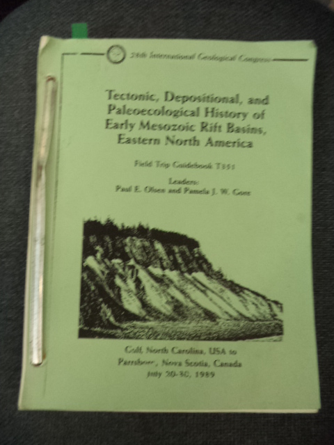 Image for Tectonic, Depositional, and Paleoecological History of Early Mesozoic Rift Basins, Eastern North America (Igc Field Trip Guidebooks : No T351)