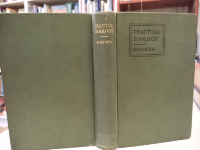 Image for Practical Zoology
