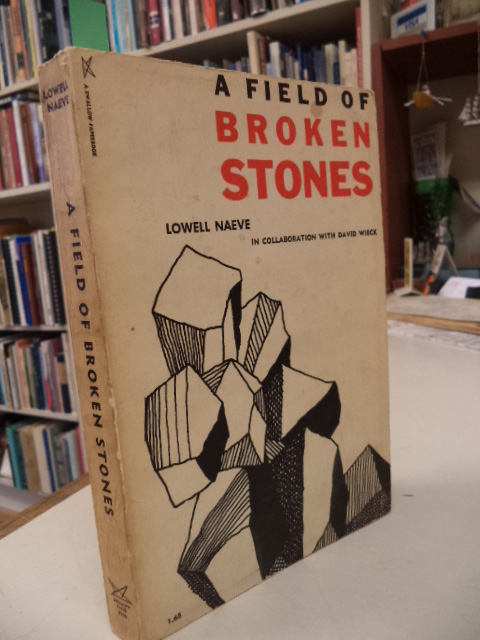 Image for A Field of Broken Stones