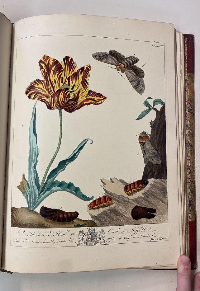 Image for The Aurelian. A Natural History of English Moths and Butterflies. Together with the Figures of their Transformations and of the plants on which they feed. ...