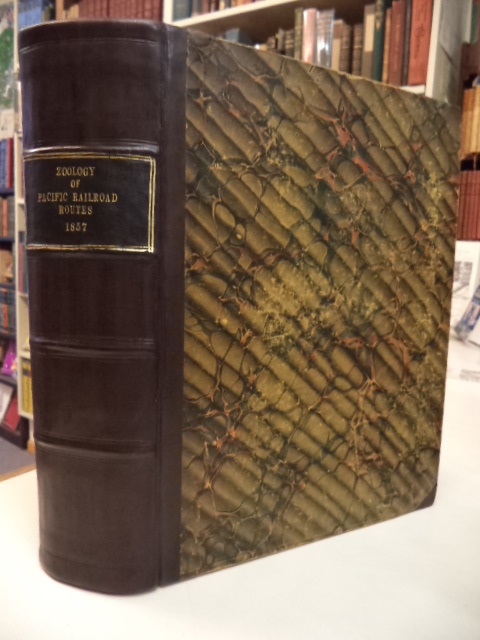 Image for Reports of Explorations and Surveys, to Acertain the Most Practicable and Economical Route for a Railroad from the Mississippi River to the Pacific Ocean. Volume X.