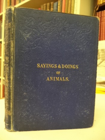 Image for Twelve Stories of the Sayings and Doings of Animals