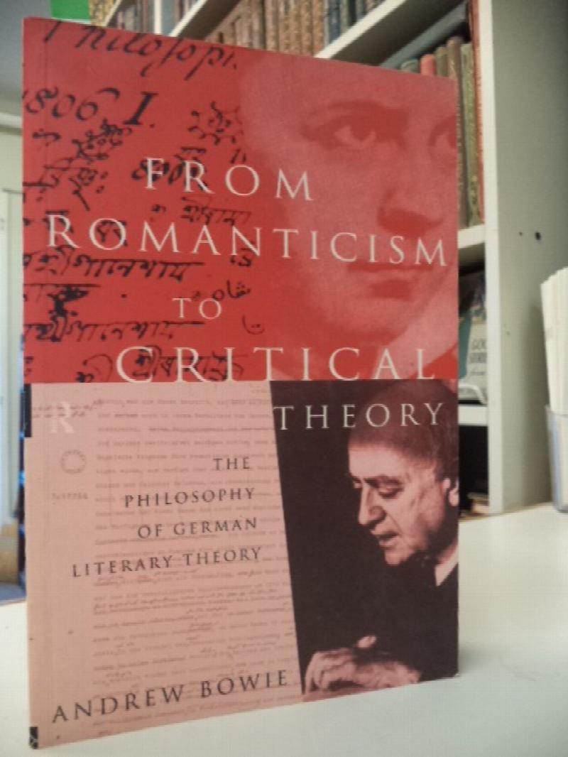 Image for From Romanticism to Critical Theory: The Philosophy of German Literary Theory