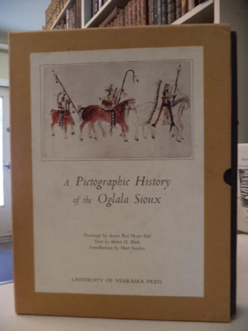 Image for A Photographic History of the Oglala Sioux