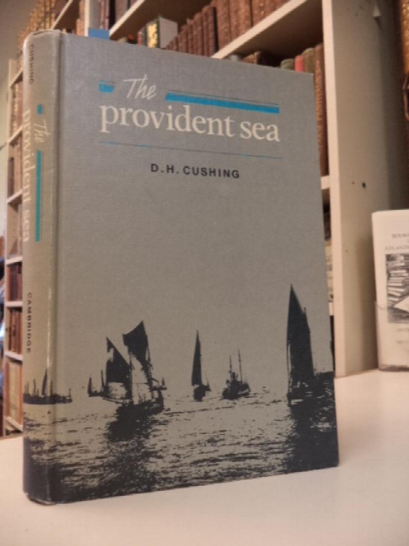Image for The Provident Sea