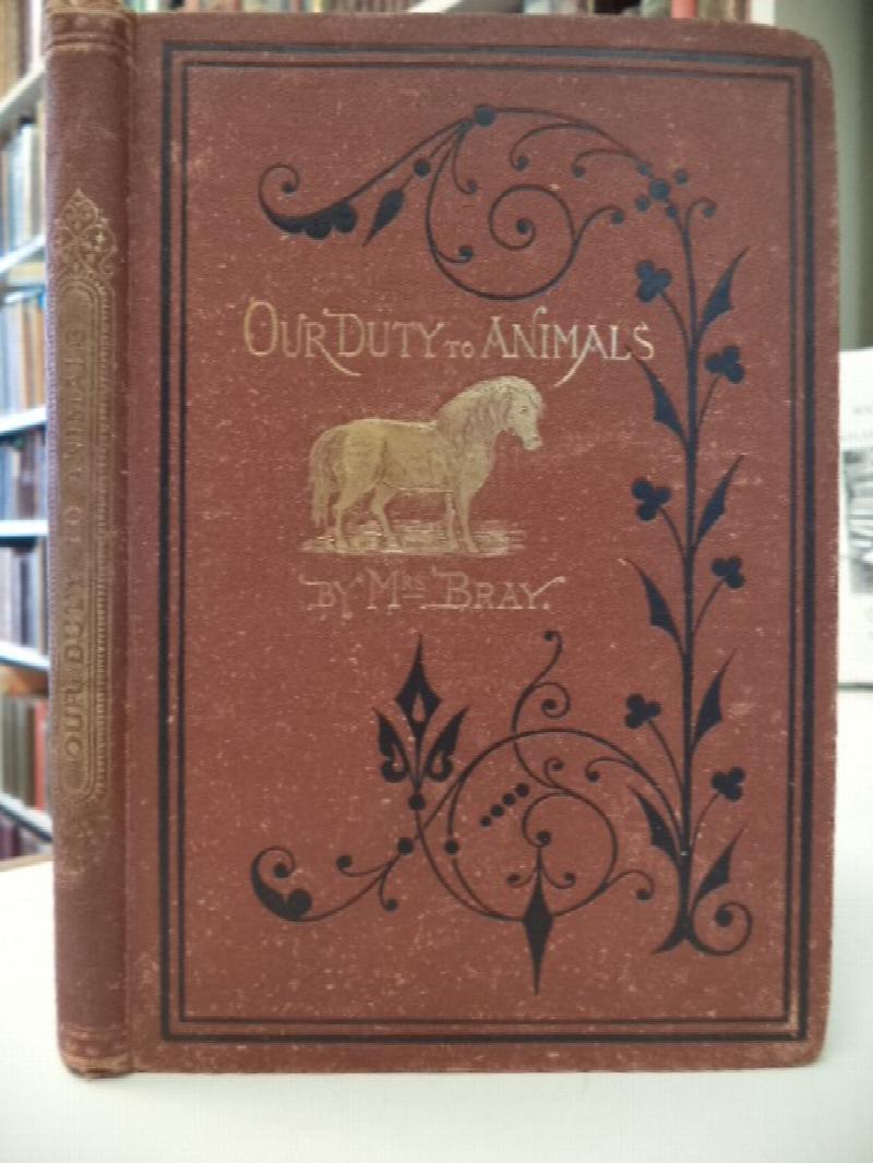 Image for Our Duty to Animals