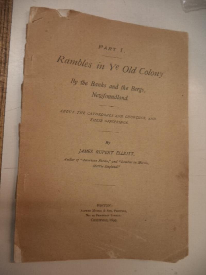 Image for Rambles in Ye Old Colony. By the Banks and the Bergs, Newfoundland
