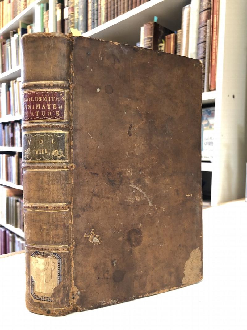 Image for An History of the Earth, and Animated Nature. Volume VIII : An History of Insects, part III; and Index to the whole.