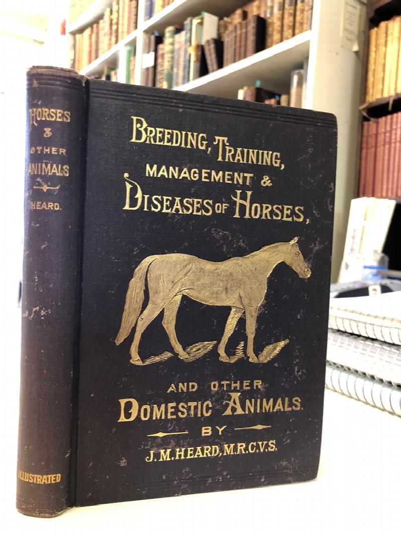 Image for Breeding, Training, Management and Disease of the Horse and Other Domestic Animals