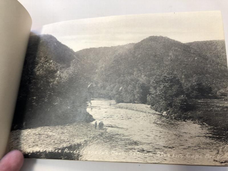 Thumbnail Image